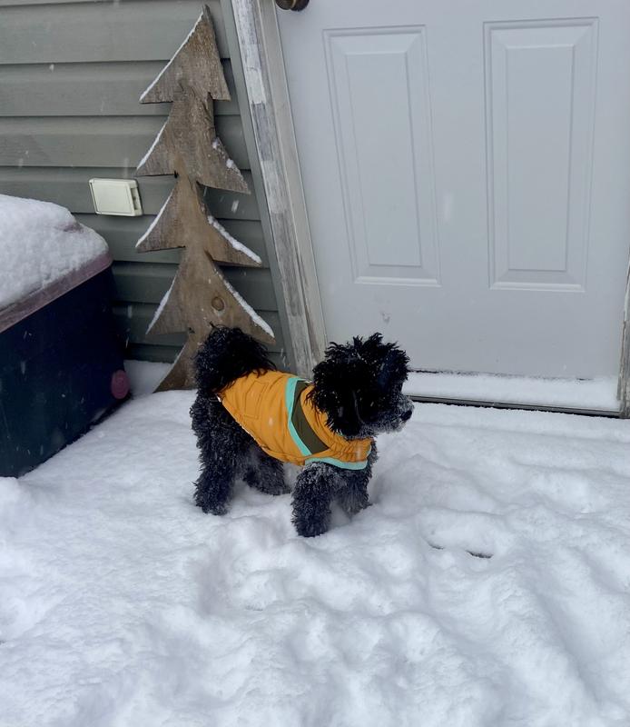 Having fun in the snow!