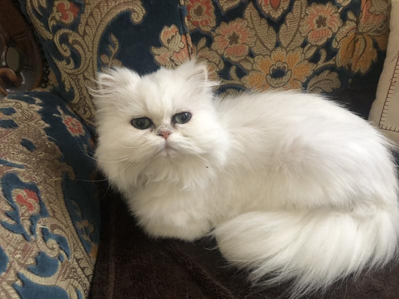 These are her favourite snacks!  No other snacks will do!