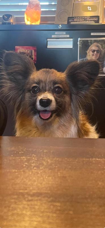 Buster loves them💕💕💕