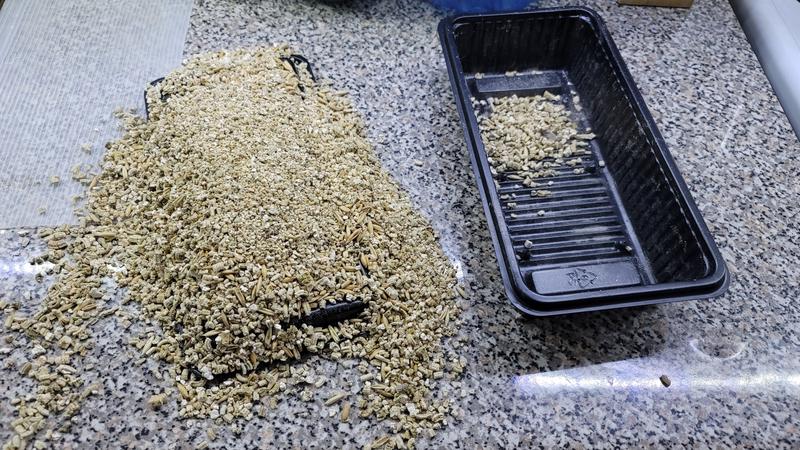 Just glad my cats were asleep at the time...