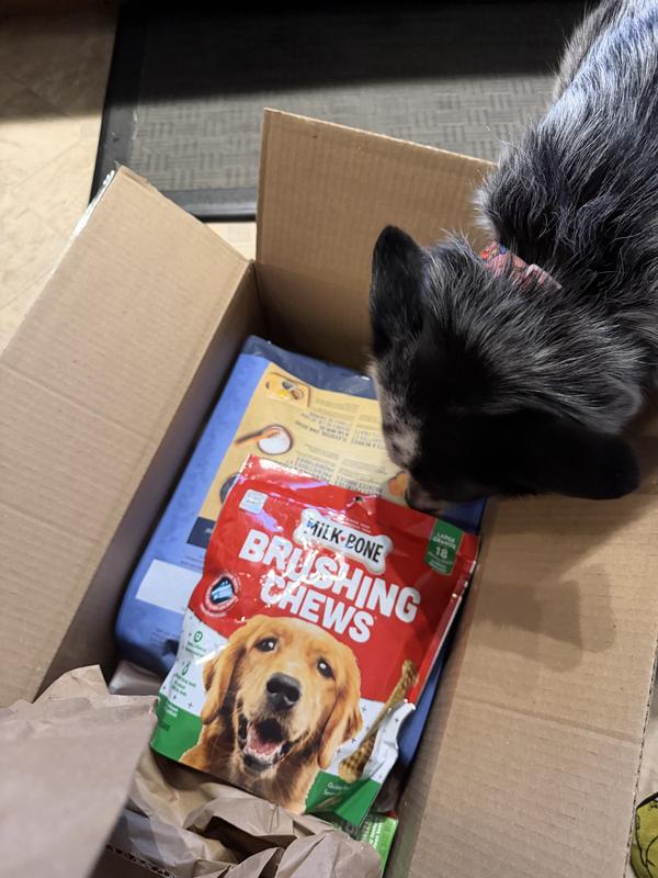 Her excitement is so fun