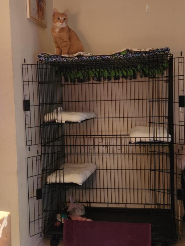 On top of the world, according to her lol