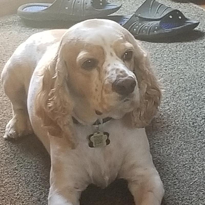 Our sunshine Cooper. ♥️