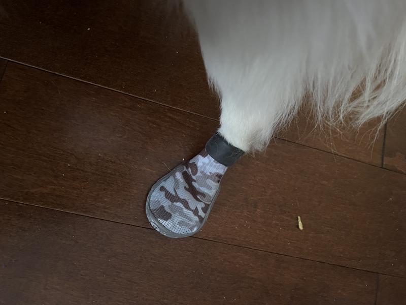 Great support for my dog’s hips