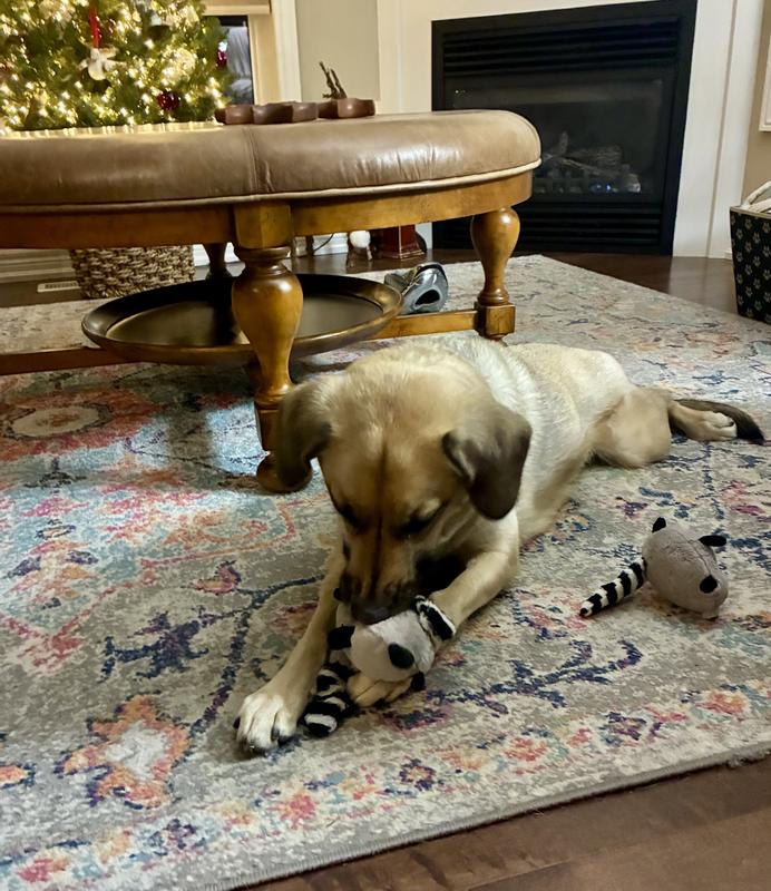 One week ~ no more squeak!