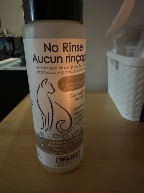 Helpful foam for a playful kitten!