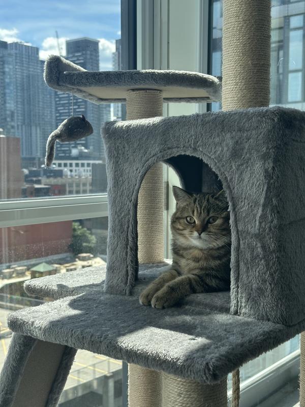 Queen Nala on her throne