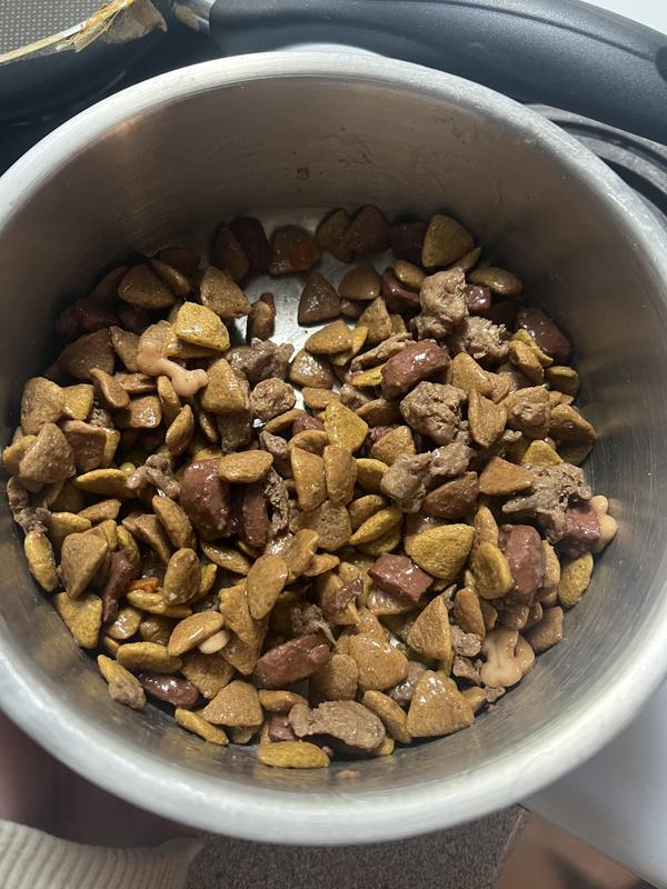 Purina kibble with their daily canned