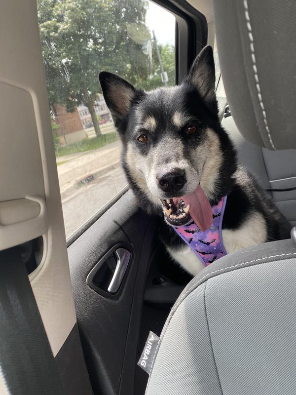 On her way to get her shots