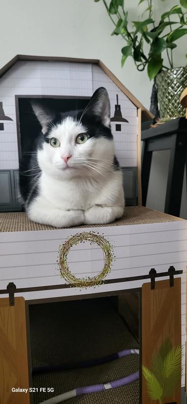 Walters house in a home!