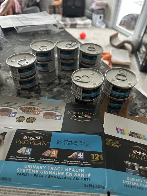 Inside the box is wrong.