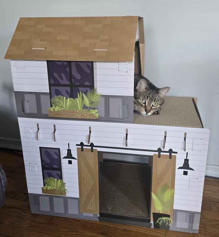 Loves the penthouse!