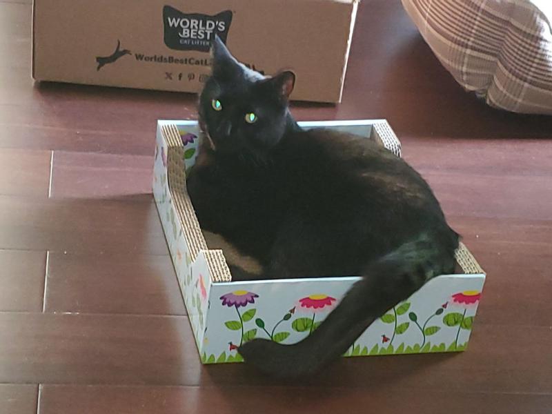 Max's Box