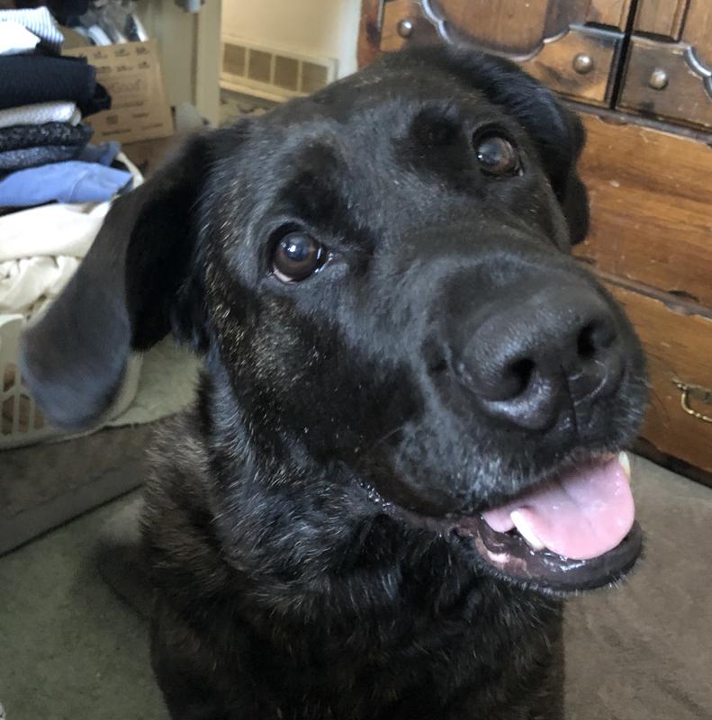 Love love love these!