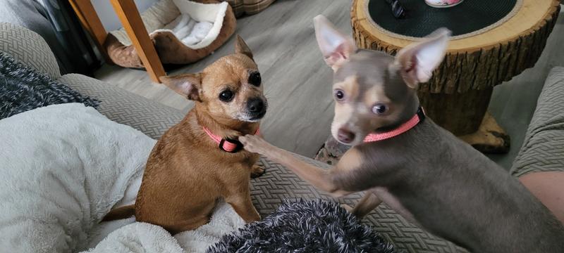 Anabelle, 12 years old and Mika, 8 months old. Mika's saying "This is my big sister!"