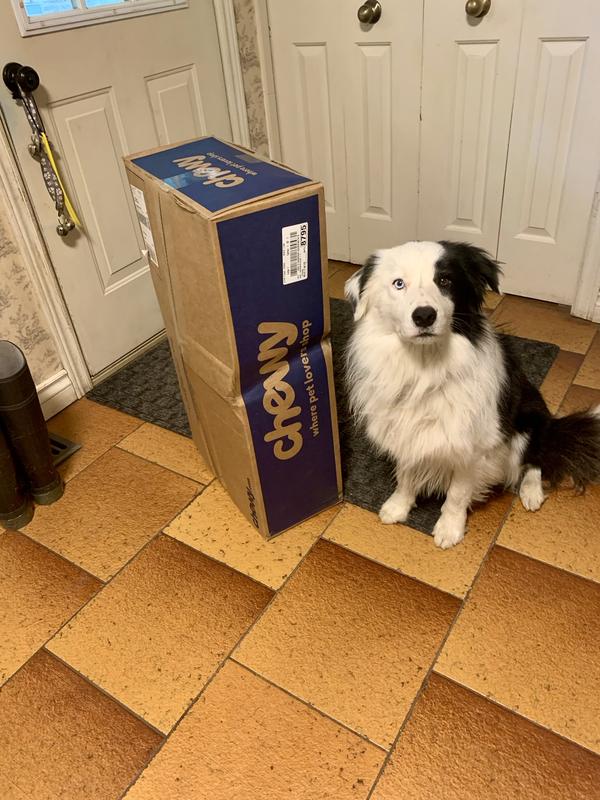 Delivery was expedient 🐾🐾👍