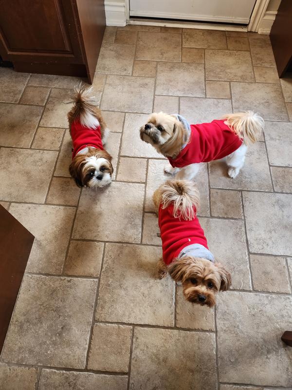 My red hoodie gang!
