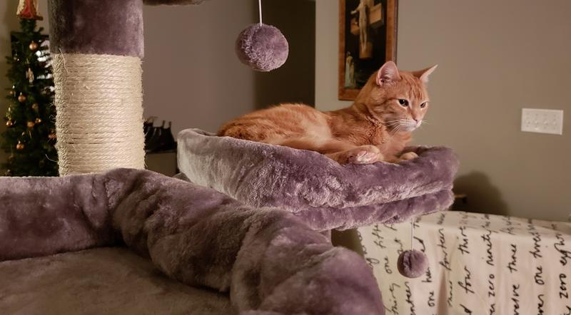 Archie enjoying his “highness”