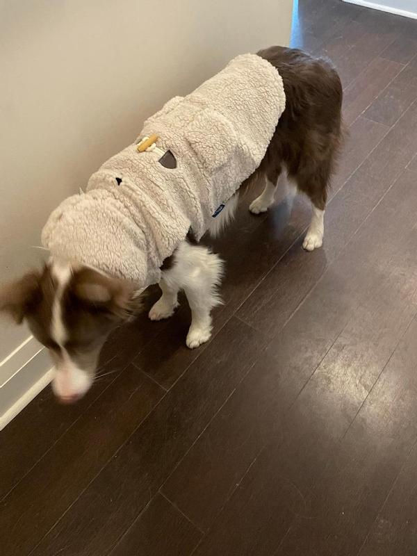 Shasta Slays in Sherpa Chic