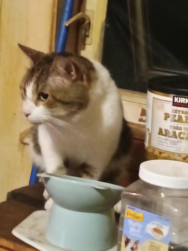 I don't live here but I need a home but here I know dad will help