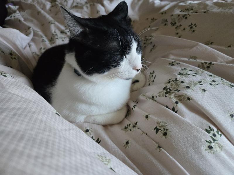 Review Thumbnail Image 2 379850369