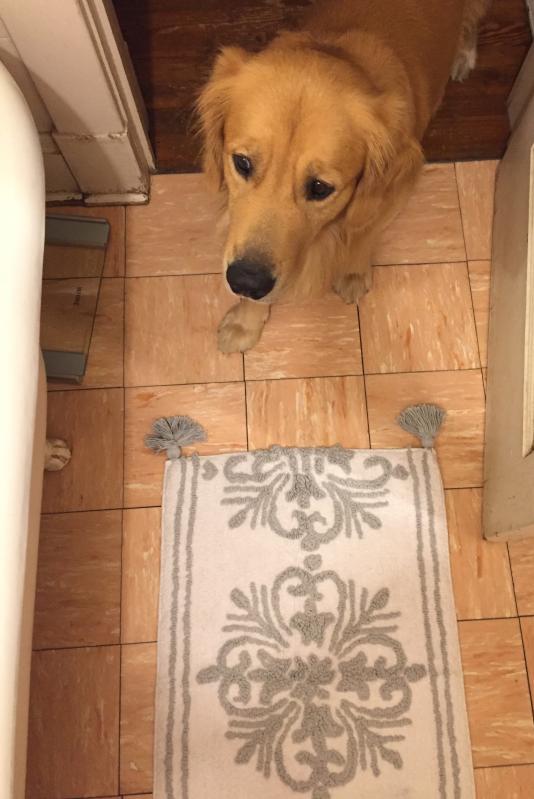 Everyone loves the new Peri rug!