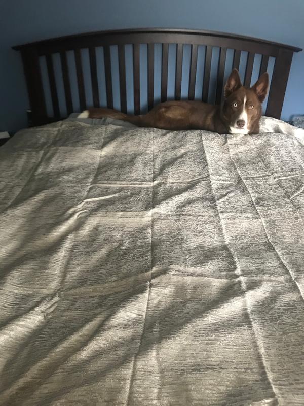 Review Thumbnail Image 1 126521651