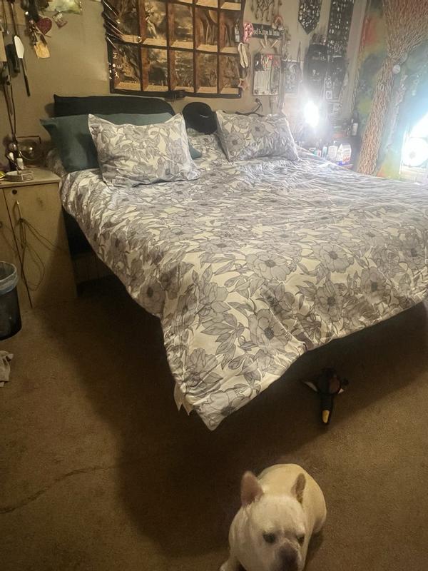 Review Thumbnail Image 1 379486253