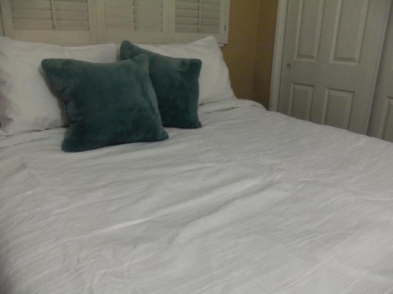 (blue throw pillows not included)