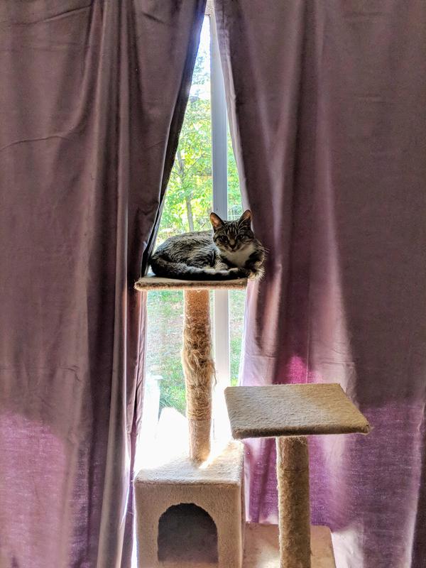 Miss Fiddy also enjoys them!