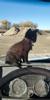 User submitted photo