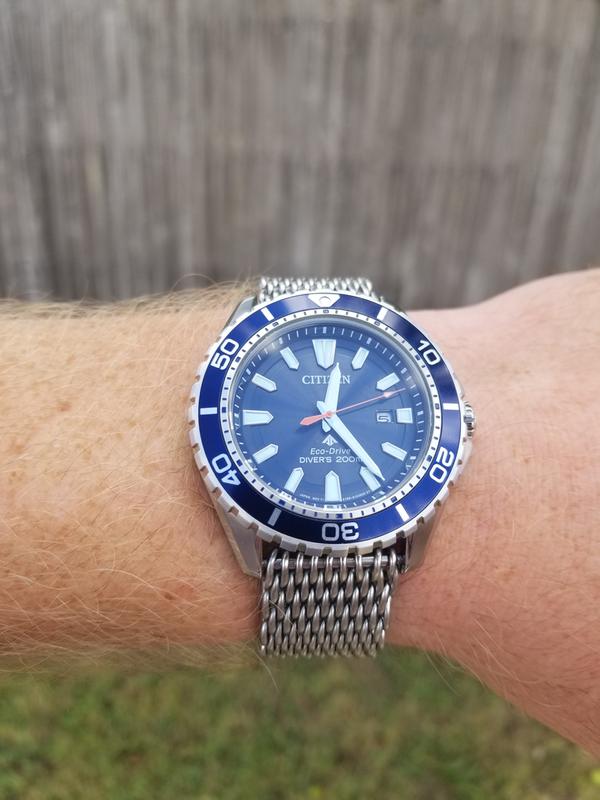 citizen promaster diver blue