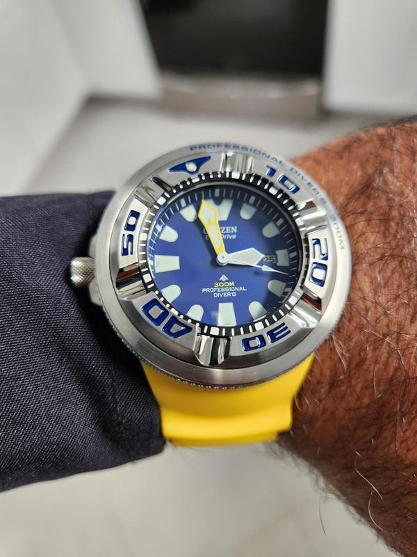 Value Proposition The Citizen Promaster Professional Diver 300M Eco-Zilla