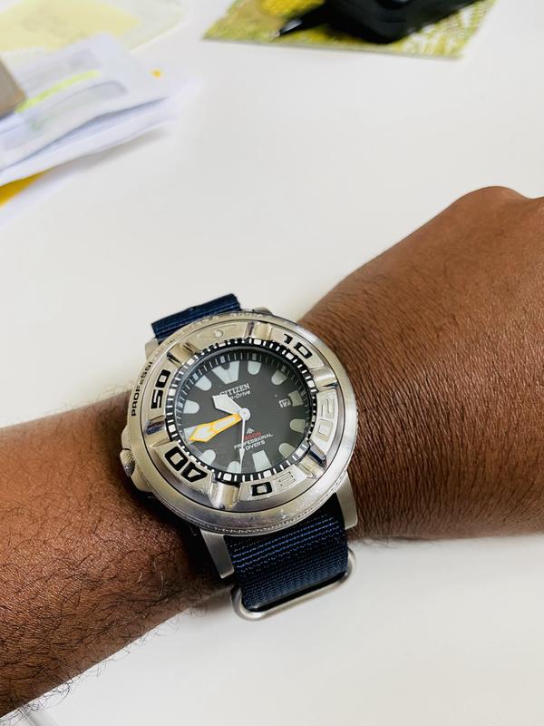 Citizen Promaster Diver Review: Is this Eco-Drive Diver Right For You?