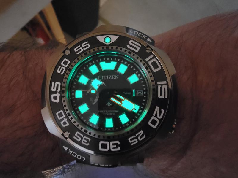 Citizen professional diver online 1000m