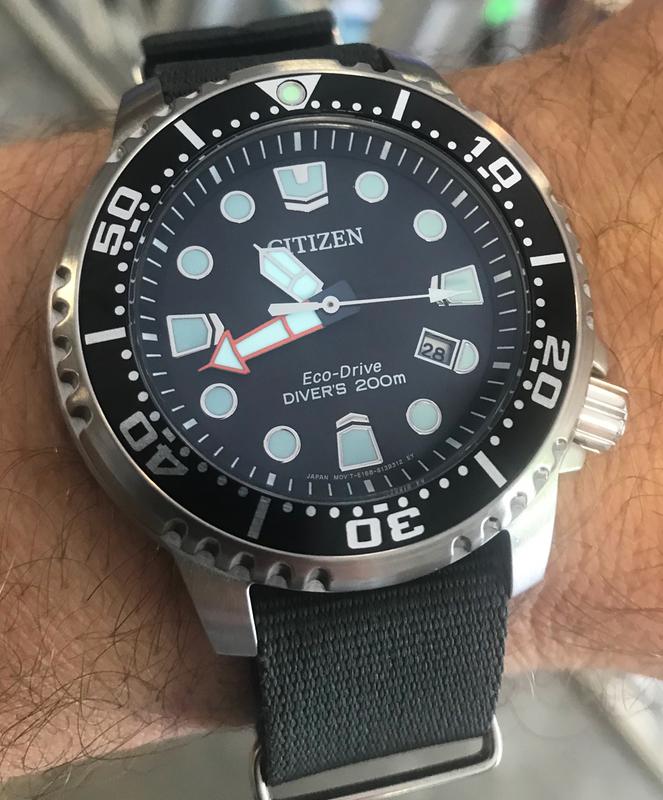 Citizen promaster cheap diver bn0150