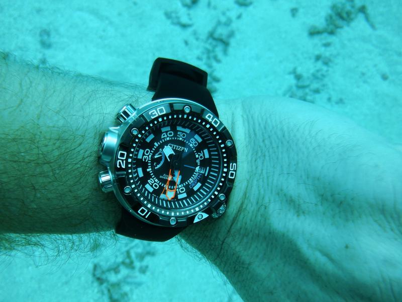 Citizen aqualand online diver