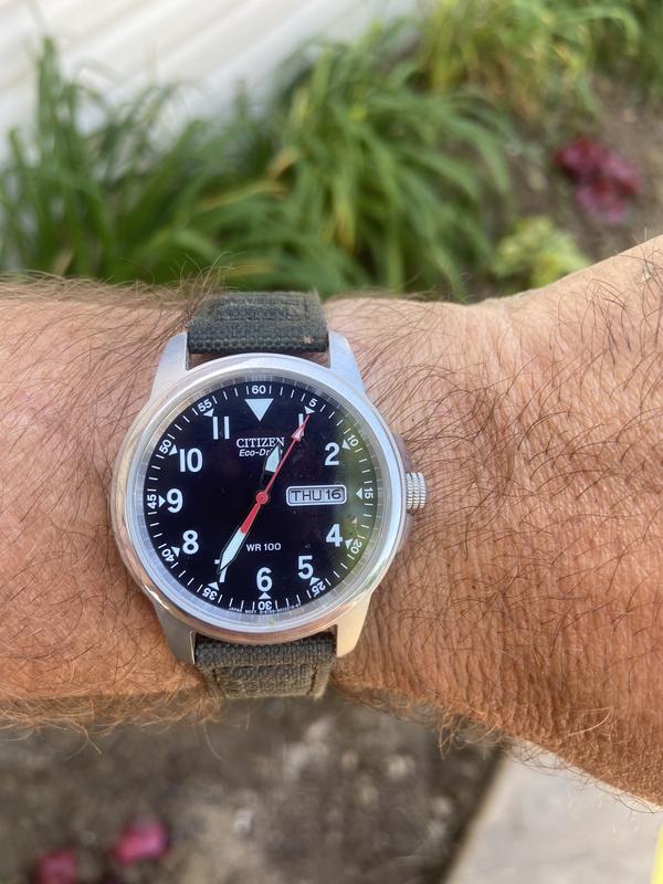 Citizen on sale field watch