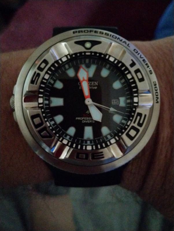 Value Proposition The Citizen Promaster Professional Diver 300M Eco-Zilla