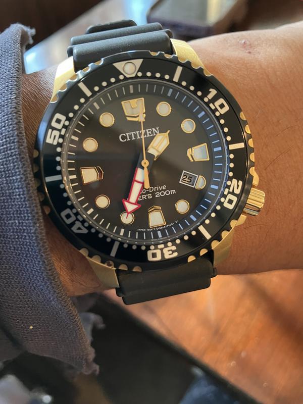 Citizen promaster diver online gold