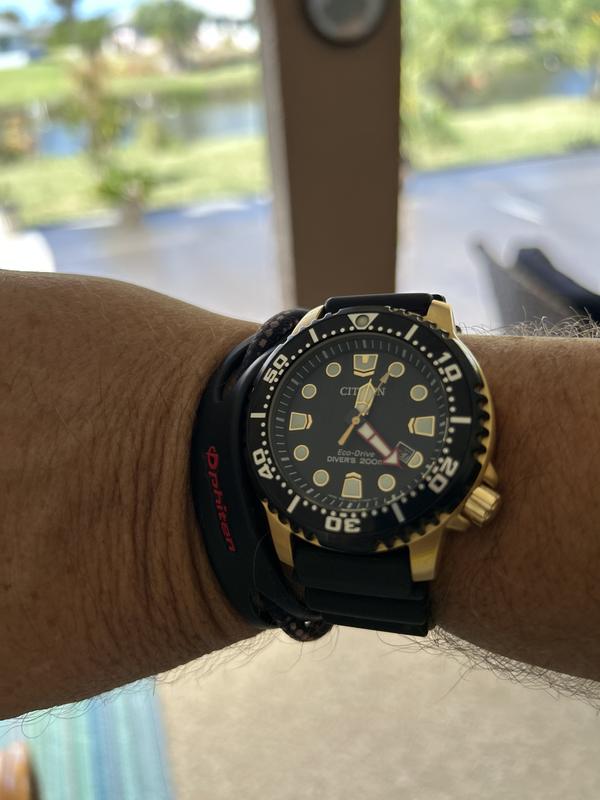 Citizen promaster best sale diver gold