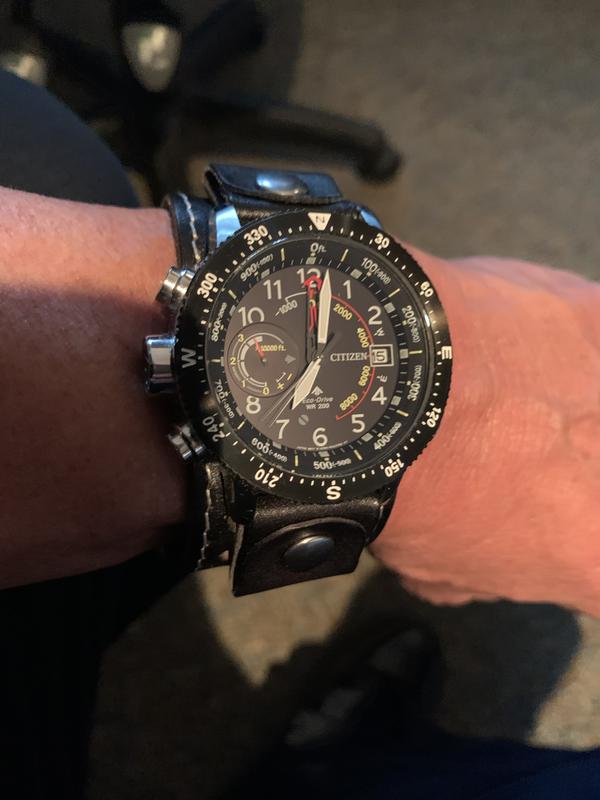 Citizen promaster altichron online survival watch