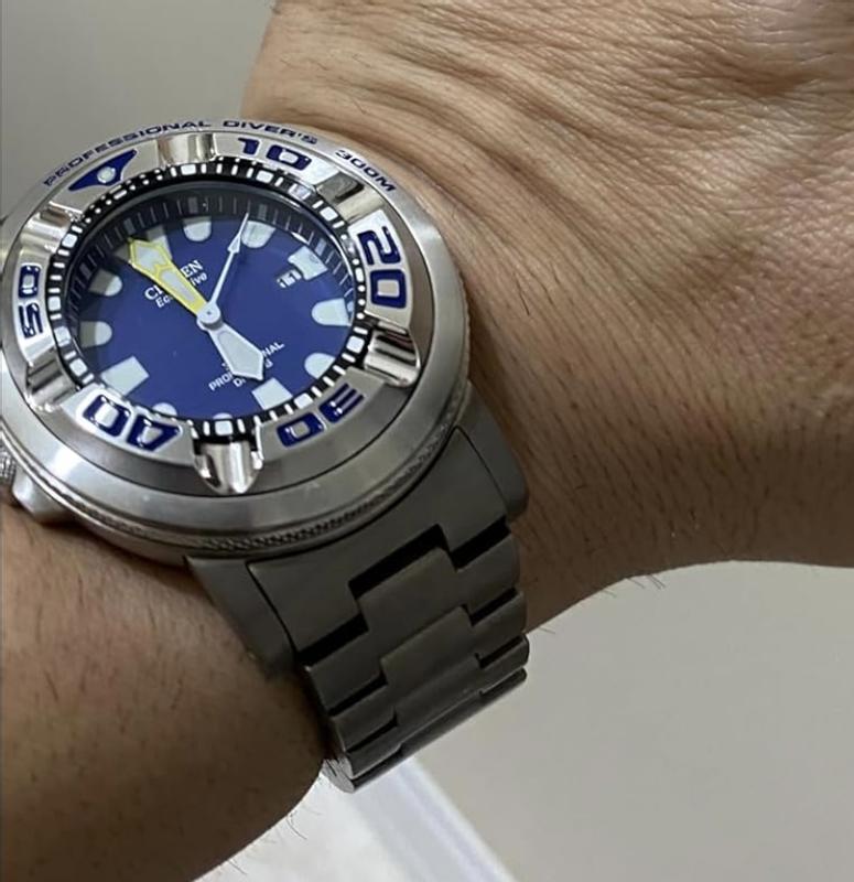 Value Proposition The Citizen Promaster Professional Diver 300M Eco-Zilla