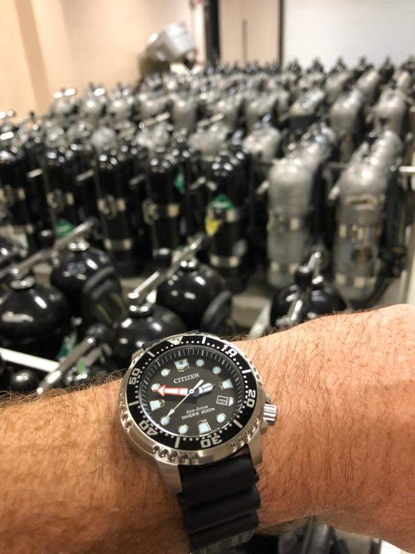 Citizen promaster store diver bn0150