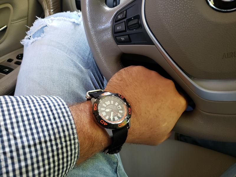 Citizen promaster diver discount gmt