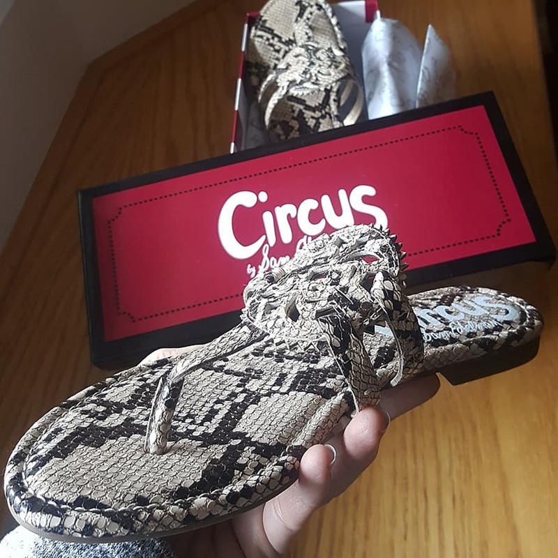 シップス Circus NY by Sam Edelman サムエデルマン Canyon レディース