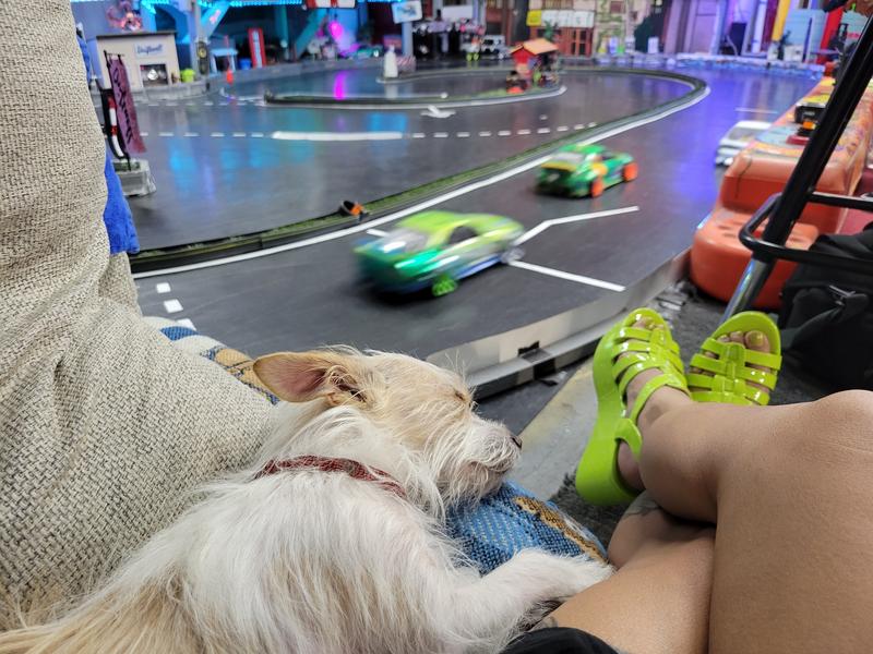 Review Thumbnail Image 0 256481949