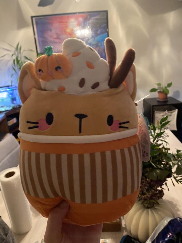 pumpkin spice squishmallow dpci