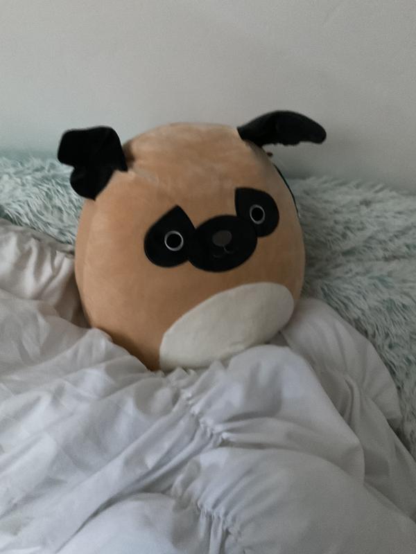 Just a puppy and his squishmallow 💙🐾 #dogtoy #cutepuppy #cleandog #s