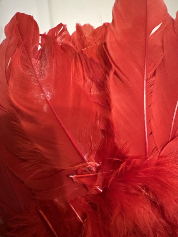 Red Feathery Angel Wings